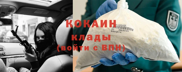 хмурый Магас