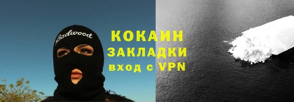 хмурый Магас