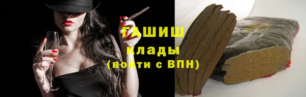 хмурый Магас