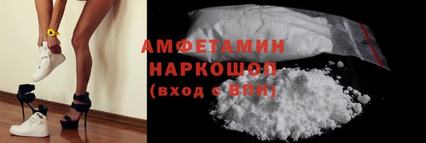 хмурый Магас
