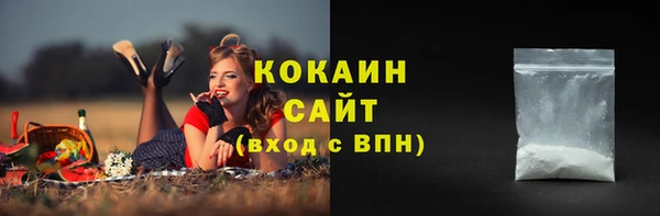 хмурый Магас