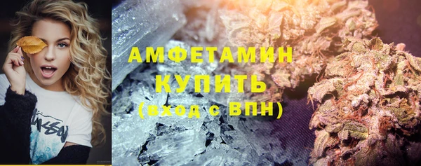 хмурый Магас