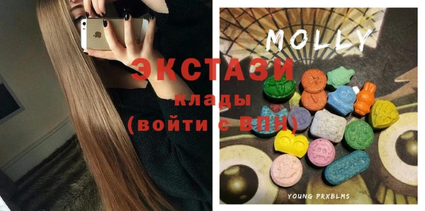 хмурый Магас