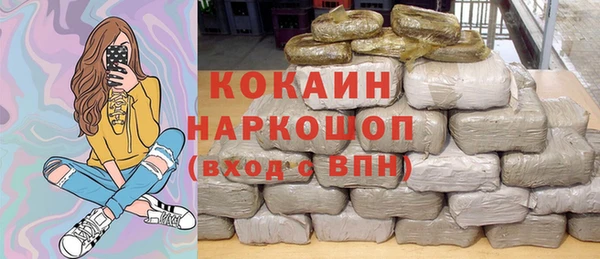 хмурый Магас