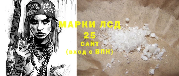 хмурый Магас
