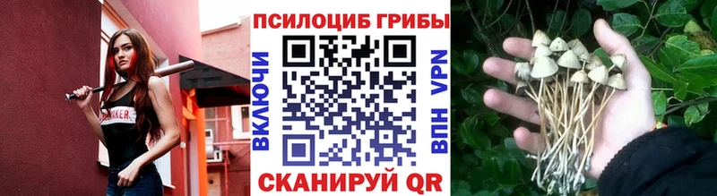 Галлюциногенные грибы прущие грибы  закладки  Аксай 